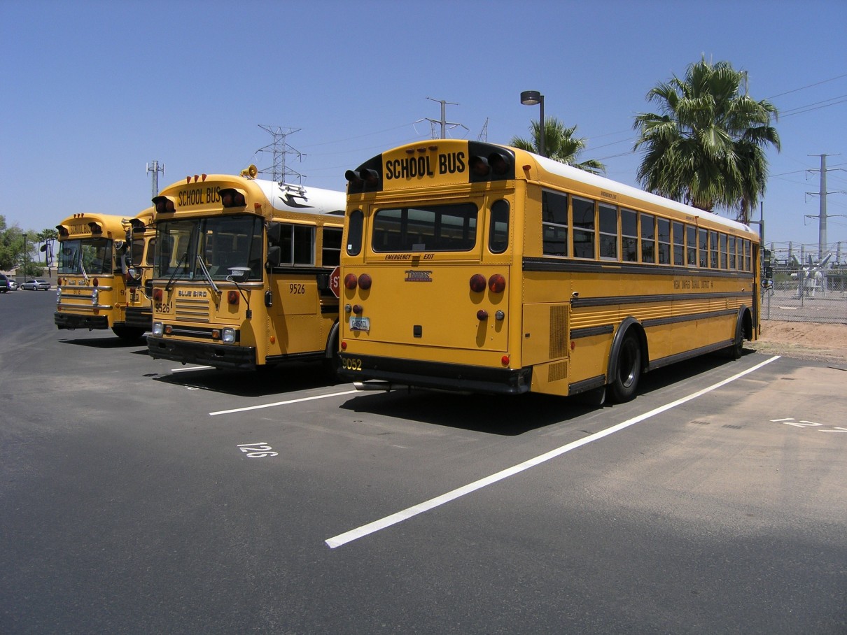 Typisch amerikanische Schulbusse mit elektrischen Antrieben speisen Strom ins Netz ein. 